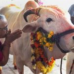 India: Three Muslims sentenced to life imprisonment in Gujrat over cow slaughter